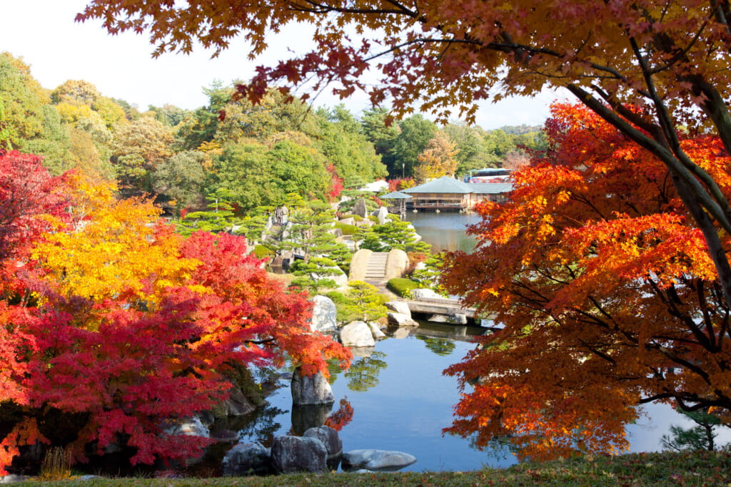 三景園と紅葉